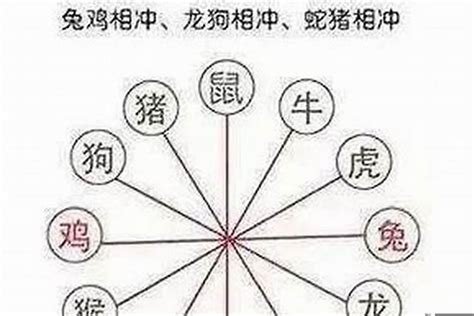 牛狗配|牛和狗的属相合不合 属牛与属狗的相冲吗